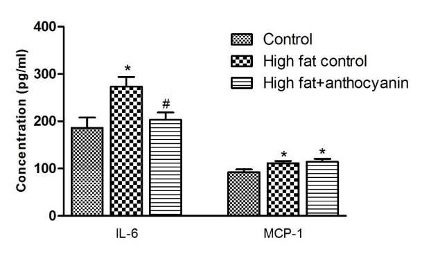 ANTHOCYANINOK HATÁSA EGÉRMODELLEN Effect of anthocyanin-rich tart cherry extract on