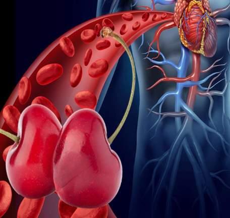 Caries gátlás Antioxidáns,