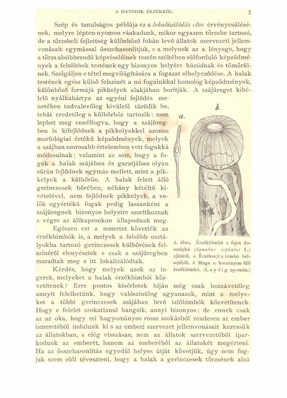 A HATODIK ÉRZÉKRŐL.