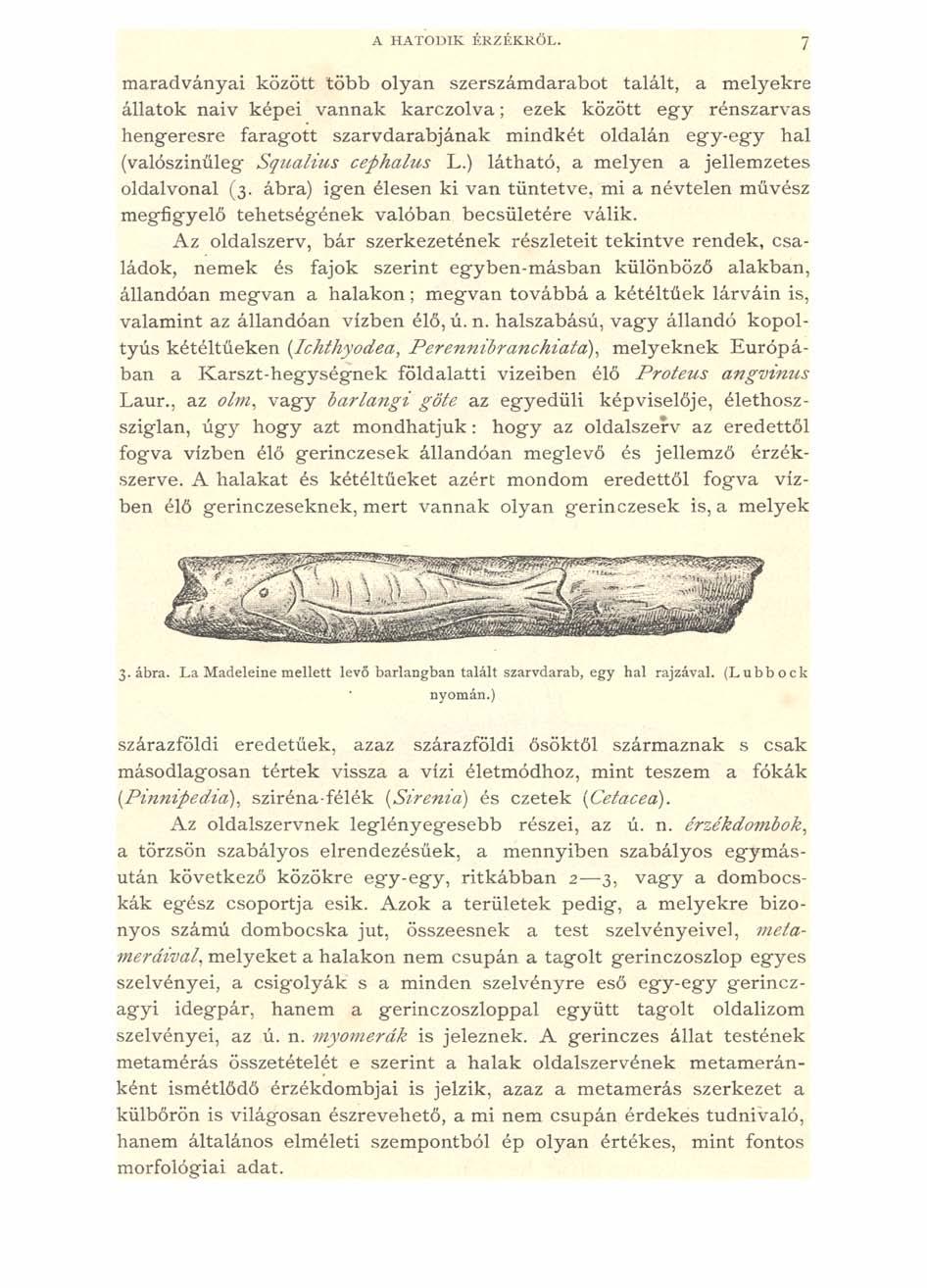 A HATODIK ÉRZÉKRŐL.