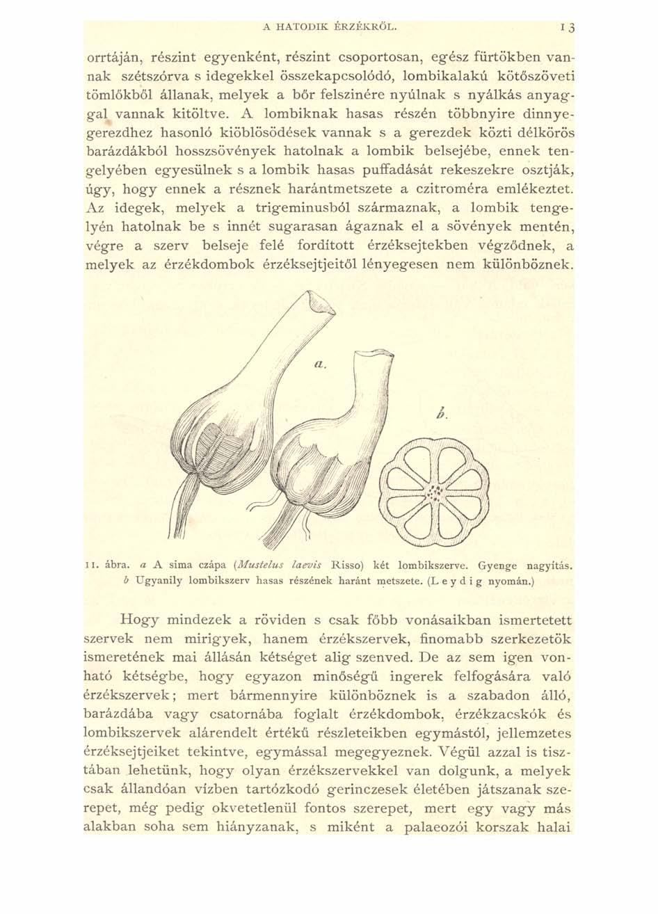 A H ATODIK ÉRZÉKRŐL.