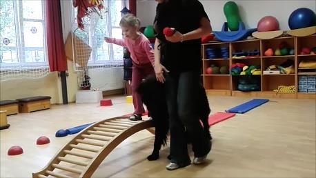 fokozatosan lehet felépíteni, így pl. először csak egy kitett tárgyat kell megkerülni a kutyával együtt, ezt követheti a bonyolultabb szlalom mozgás.