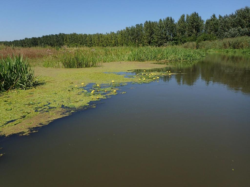 Natura 2000 fenntartási