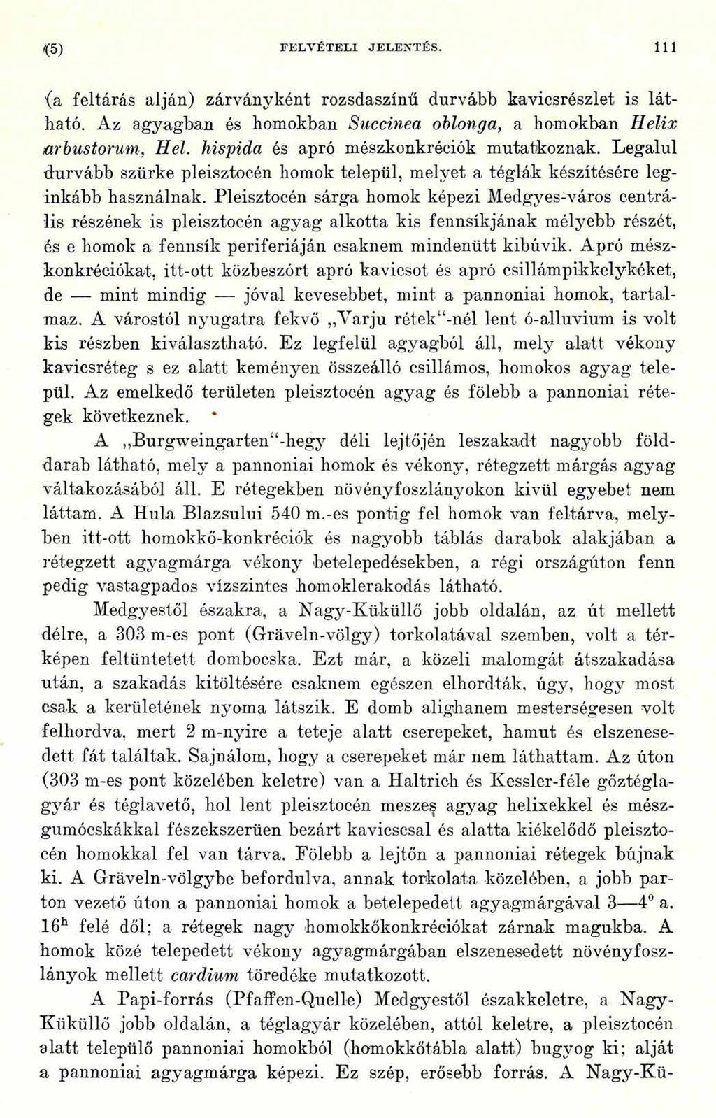 (5) FELV ÉTELI JELENTÉS. 111 (a feltárás alján) zárványként rozsdaszínű durvább kavicsrészlet is látható. Az agyagban és homokban Succinea oblonga, a homokban Helix mbustorum, Hel.