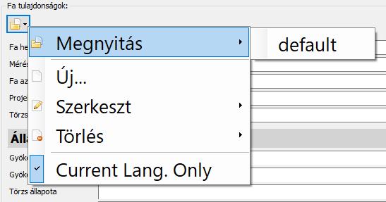 A szoftver alapértelmezett sablonjai nem módosíthatóak és nem is törölhetőek. (A Current Lang.