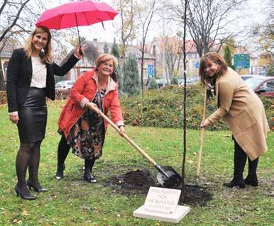 igazgatója, az esemény főszervezője, Csatos Erika és Keveházi Kata, a világnap regionális és magyarországi nagykövetei Az építőipari lánctartozások kezelésében segít a TSZSZ Az építőipari