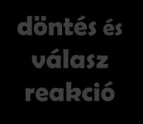 percepció döntés és
