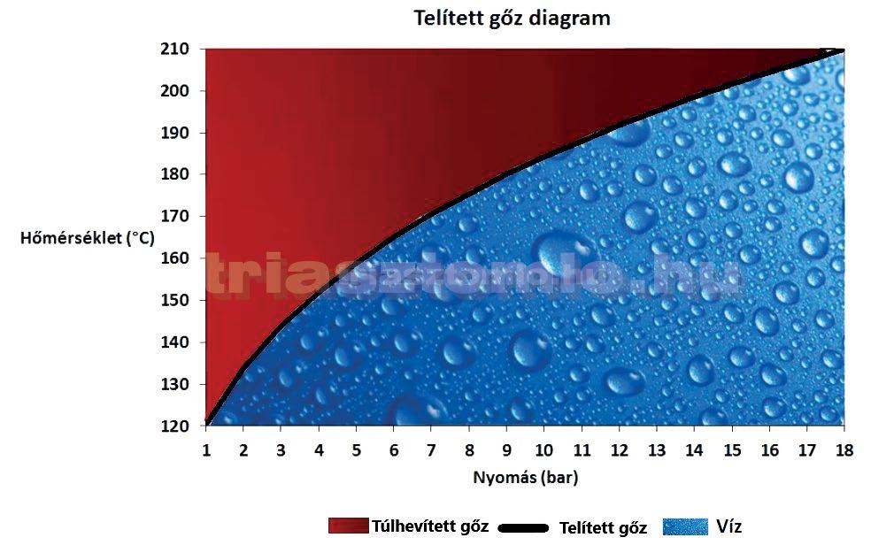Forróvíz-, hűtővíz- és gőztömlők Metalvapor / EN / ISO Felirat: METALVAPOR - **- EN/ISO 6134: 2005 2A-STEAM - DIAMETER- WP 18 BAR - BP 180 BAR - Ω NEGYEDÉV/ÉV Acélbetétes gőztömlő Acélbetétes