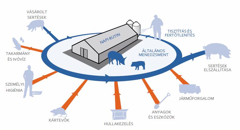 A biobiztonság azon intézkedések összessége, amelyek csökkentik a fertőző betegségek megjelenését és terjedését a sertéstelepen, regionális szinten, ország- és világszerte.