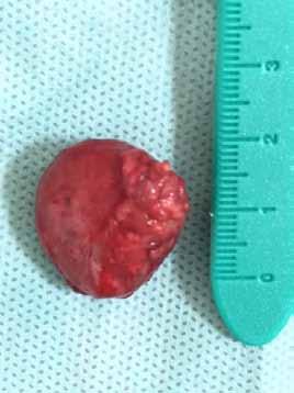 specimen Figure 3 Shows a