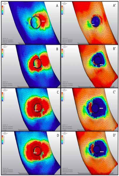 9 Pmax-Pmin values of spongiose bone in G2A