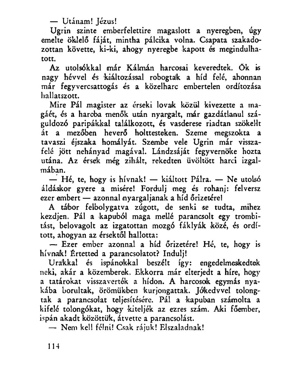 Utánam! Jézus! Ugrin szinte emberfelettire magaslott a nyeregben, úgy emelte öklelő fáját, mintha pálcika volna. Csapata szakadozottan követte, ki-ki, ahogy nyeregbe kapott ós megindulhatott.