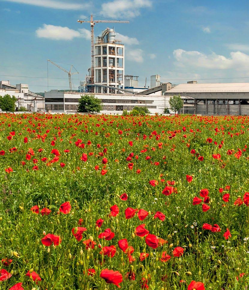 Cementgyár / Cement works / Zementwerk A DTG Optimus Kft.