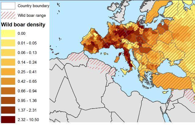 szintig történő gyors esését mutatták ki (Kaden et al., 2002 és 2003; Rossi et al., 2010; von Rüden et al.