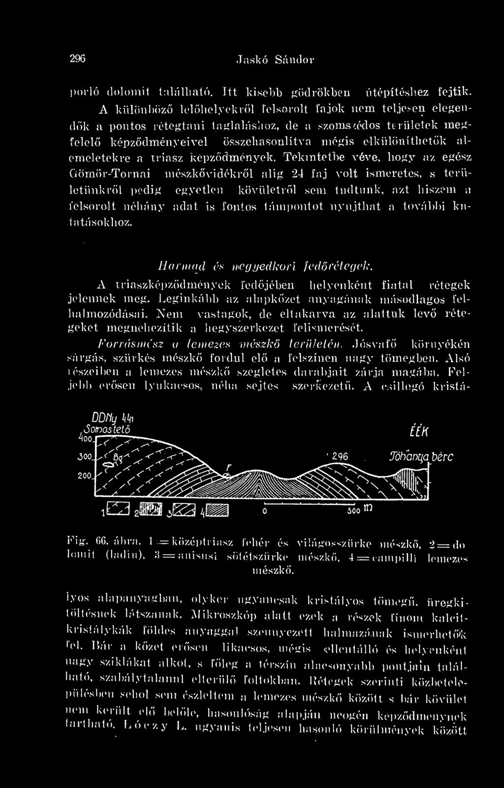 nyújthat a további kutatásokhoz. Harmad és negyedkori fedrétegek. A t ria szképzd mén yek fedjében helyenként fiatal rétegek jelennek meg. Leginkább az alapkzet anyagának másodlagos felhalmozódásai.