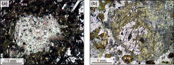 A kamptonit telérek ásványtani és kőzetkémiai szempontból erős hasonlóságot mutatnak a kumulátumkőzetekkel (s.l. hornblenditekkel), gabbrókkal és dioritokkal, ami szoros petrogenetikai kapcsolatukra utal.