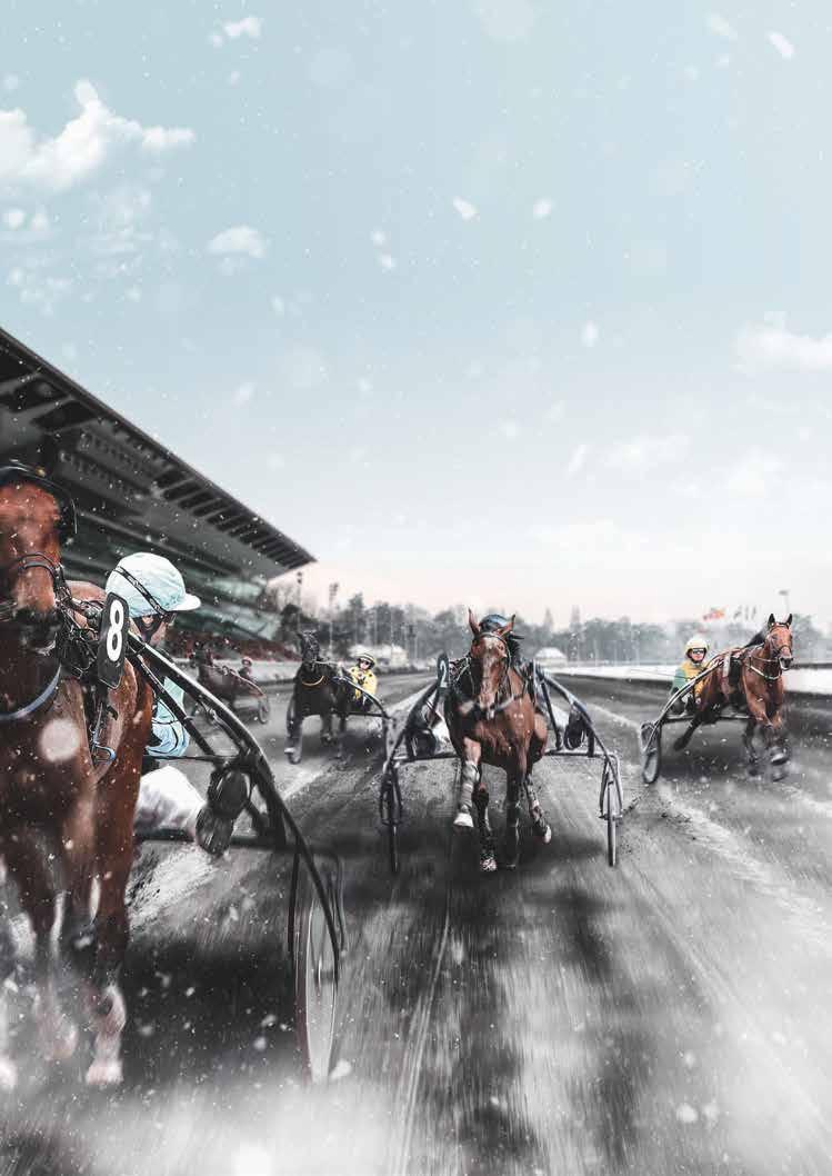 5 LA GAETA 3 k TIN HORSE - GAELIC MUSIC 5 56.5 9000 EUR Q.PERRETTE A.FRACAS ALEX.FRACAS 4P4P4P6P2P0P 2019.11.19 CHANTILLY-MIDI 13 1600 04 56.5 Q.PERRETTE 23000 MAGIC ALPINA-ZEITUNG-RUNWAY 2019.10.