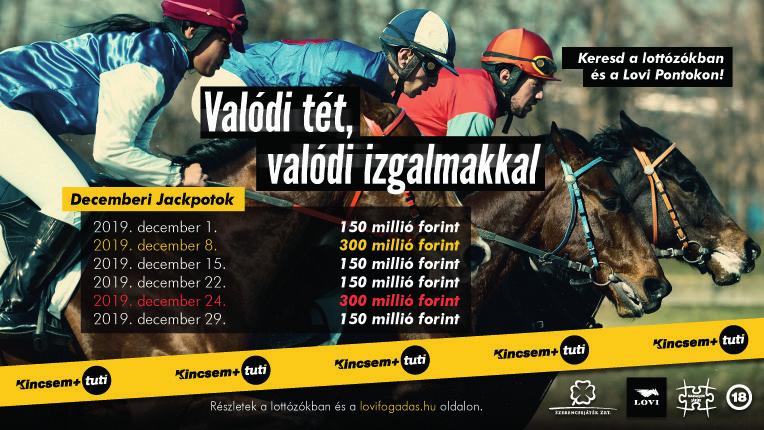KOUBICHE 22000 DISCO D'OCCAGNES-DORUS WELL-BASIC INSTINCT 2019.11.03 LA CAPELLE 13 2700 05 1:15.6 J. KOUBICHE 25000 CAUCASIEN-BELLE EMOTION-BASIC INSTINCT 2019.10.12 CABOURG 16 2750 05 1:14.8 J.