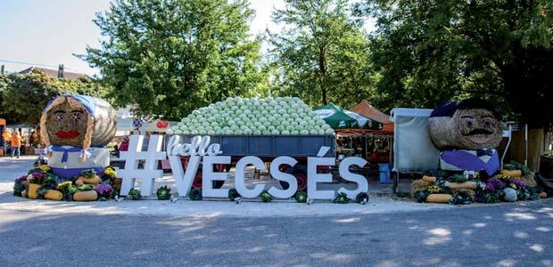 XIX. Vecsési Káposztafeszt 120 Tízezrek a Káposztafesztiválon A kétnapos rendezvény gazdag kínálattal várta a vendégeket, és a teljes sikerhez az időjárás is hozzásegített, mert ragyogó napsütésben