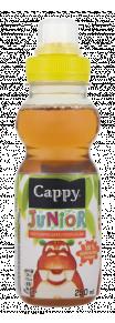 Narancs 100 % Alma 100 % Feketeribizli CAPPY JUNIOR 0,33 l Alma 183 Ft 2132 Ft 2196 Ft