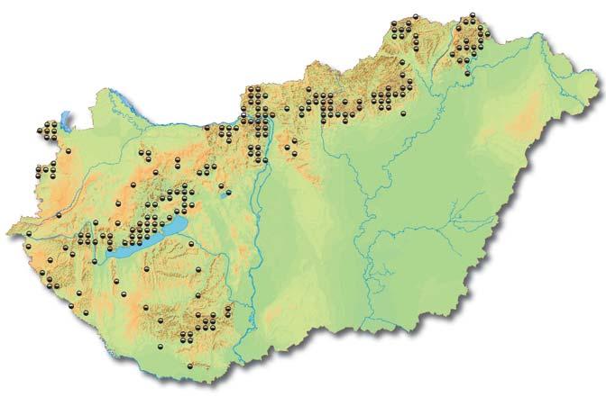 AZ ÉV FÁJA paraszemölcs. Elõfordulhat a deresedõ felület is. A látványosan megszínesedett, kifejlett, de még meg nem puhult gyümölcs a benne lévõ kõsejtek miatt étkezési szempontból élvezhetetlen.