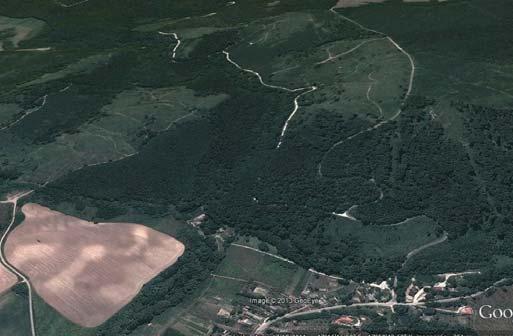 Ki ne tudna erre a költõinek szánt kérdésre jobb választ adni, mint a hazai erdõk mélyén rejtõzõ, számos történelmi, földrajzi, természeti értéket ismerõ és munkája során megõrzõ, idõnként azt