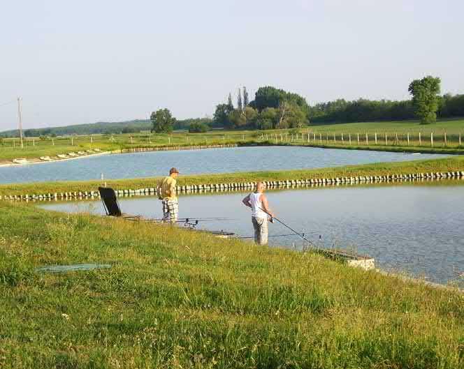A horgászati idő naponta 7-19 óra között van szabályozva. Daruszentmiklósi Horgásztó A két horgásztavat 2010-ben építették, a nagyobbikon bojlizással is lehet horgászni.