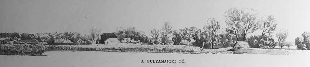 Halastavak-tógazdaságok Bél Mátyás könyvében, ami Magyarország népének életéről szól 1730 táján, a következőket írja a halastavakról:...magyarországon a természet alkotja őket.