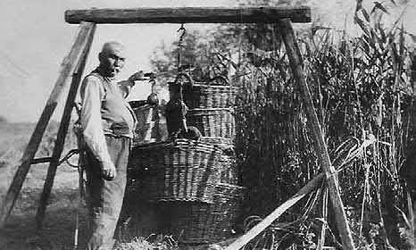 A háborús károk helyreállításával párhuzamosan már új halastavak létesítését is tervezték, 1949-ben a sárbogárdi határ Nádor-csatorna részén a Tinódi-árok kiszögelésében.