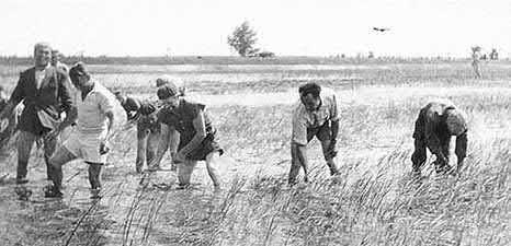 A Dinnyési Ivadéknevelő Tógazdaság 1958-ban, immáron hat évtizede határozták el az akkori halászati termelőszövetkezetek, hogy vizeik állománypótlására létrehoznak egy korszerű ivadék-előállító és