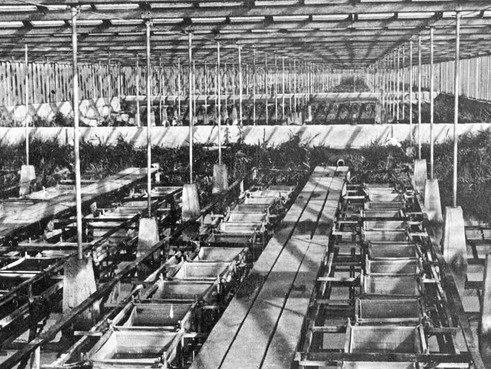 1960 júniusa és 1964 októbere között készült el a tizenhét tó, mellette még kilenc nevelő és tizenkettő ívató tavat építettek.