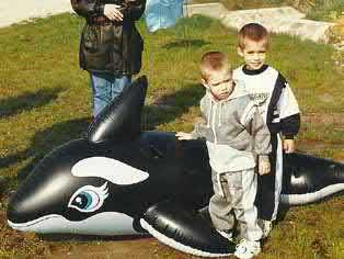 1996 Delfin Horgász Egyesület A Delfin Horgász Egyesület a Fejér Megyei és- a Székesfehérvár Városi Rendőrkapitányság dolgozóinak -Bárdossy Attila és Komjáti Ferenc javaslatára- több éven keresztül