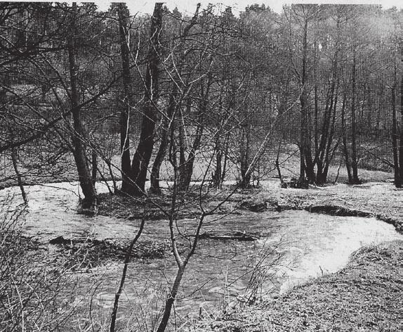 Vor 20 Jahren Bedrohte Natur: Die Gelpe im Wandel der Zeit Es ist schon lange her, dass im Gelpetal der Bach die vielen Wasserräder antrieb und im Takt die Hammer schlugen.