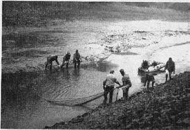 ist. Heute scheint ein Umdenken Hier einer der vielen Abtransporte geretteter Fische. einzusetzen. Ein Ende ist aber noch nicht abzusehen.