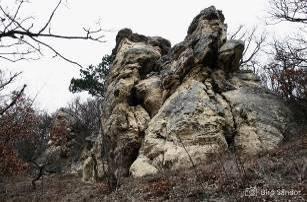 A szabadon látogatható sziklákhoz jelzett turistaút vezet (piros jelzés). (A szöveg és a fotó forrása: www.dunaipoly.