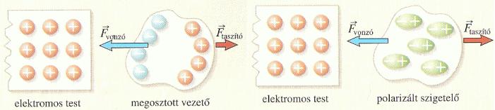 A megosztás és a polarizáció jelensége A megosztás és a polarizáció jelensége A semleges töltésű testek esetében is megfigyelhető egy jelenség A vezetőket vonzza a feltöltött test.