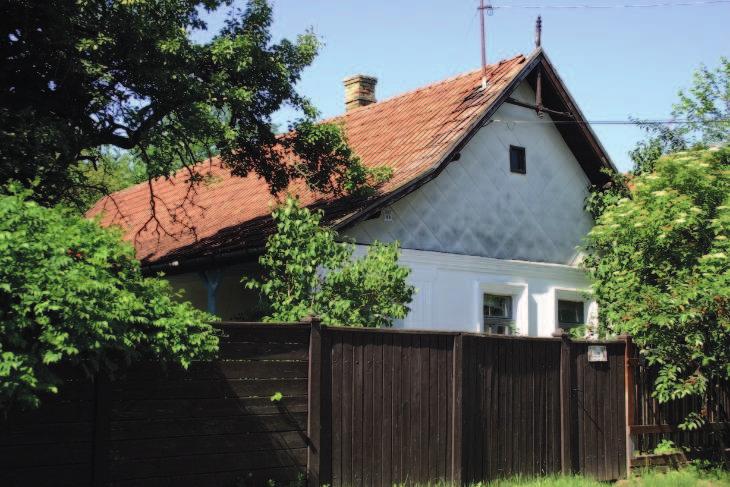 élőnövényzet jelentette. Az életmód változásával megnövekedett a lakóépületek jelentősége, ezzel párhuzamosan a kerítés szerepe is.
