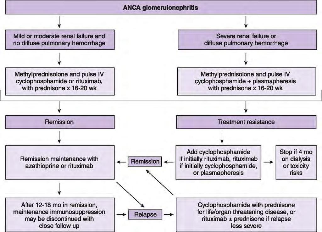 ANCA vasculitis treatments algorithm in accord with current practice at the University of North Carolina Kidney