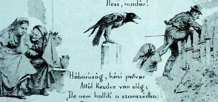 Tengeri hántás http://eozin.zengonet.