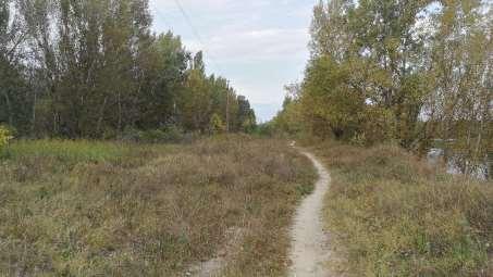 irányából Töltés korona 1