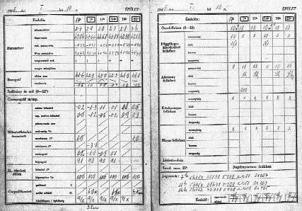 4 LÉGKÖR 54. évf. 2009. 4. szám denkinek volt krumplija, nekem is, mert gyûjtöttük és abból fôztünk ". Az észlelôkönyv 1945.