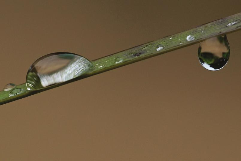 emberi létezésnek a nagy