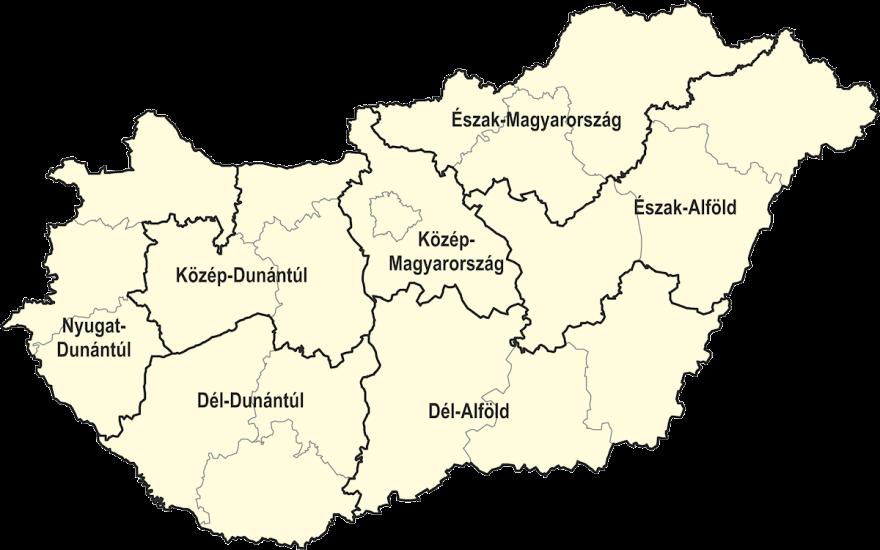 Szolgáltató tulajdonosa
