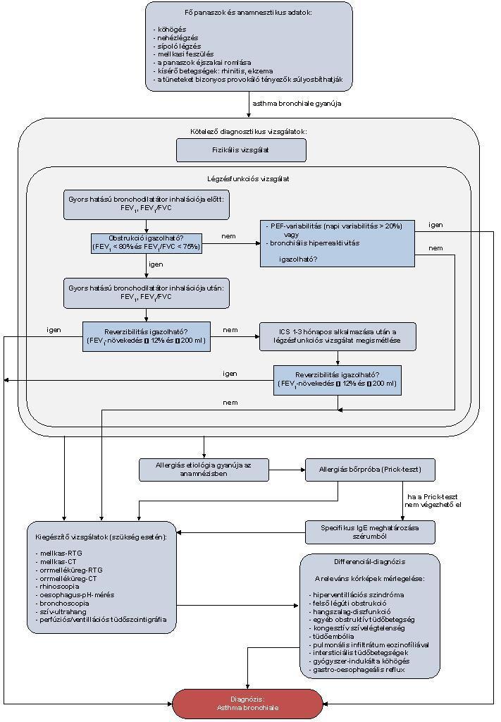 3.1. Az asthma bronchiale diagnosztikájának algoritmusa Szisztémás antihisztamin-kezelés alatt az allergiás bőrpróba helyett nem végezhető specifikus IgEmeghatározás.