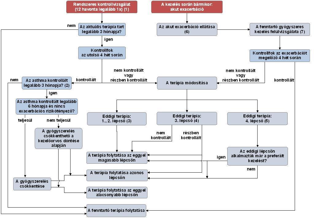 4.4.2. Az asthma jövőbeli kockázatának felmérése: a) exacerbáció rizikója b) fixált légúti obstrukció kialakulásának rizikója c) gyógyszer-mellékhatások 8. Az R3. 37. mellékletének 4. pont 4.5.