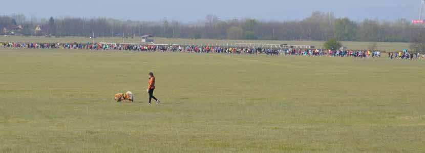 Az elmúlt fél évtizedben évről évre nőtt a Fut a Keszi futóversenyen rajthoz állók létszáma, amely idén, a hatodikon rekordot döntött, hiszen közel 1700 sportszerető fiatal és idősebb korú