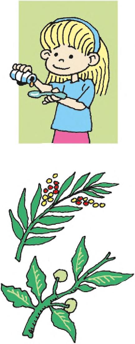 Ajesareko ko etikéta rehe aporandu che rogayguápe ha ahai aikuaáva guive, jahecha hagua ikatúpa ñaipytyvo Toñítope.