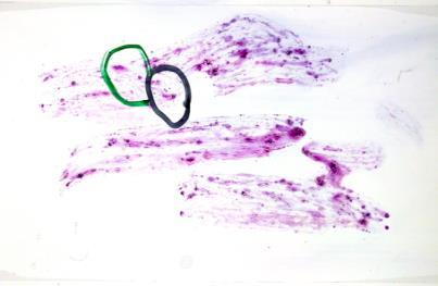 Diagnosztikus eljárások
