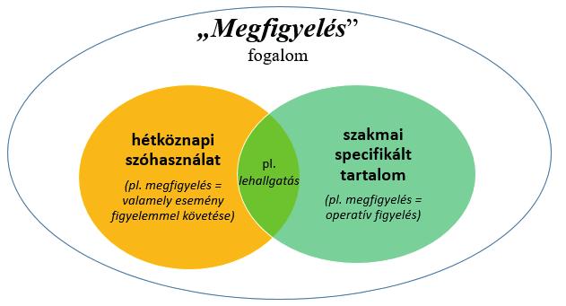 A szakmaspecifikus fogalomhasználatok tudományterületenként hasonlóságokat és jelentős eltéréseket (pl.