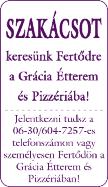 06-30/2379-845 Németh és Németh Kft.